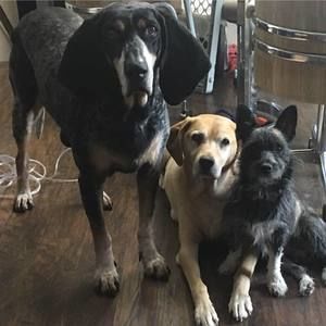 Meet your Posher, Bri